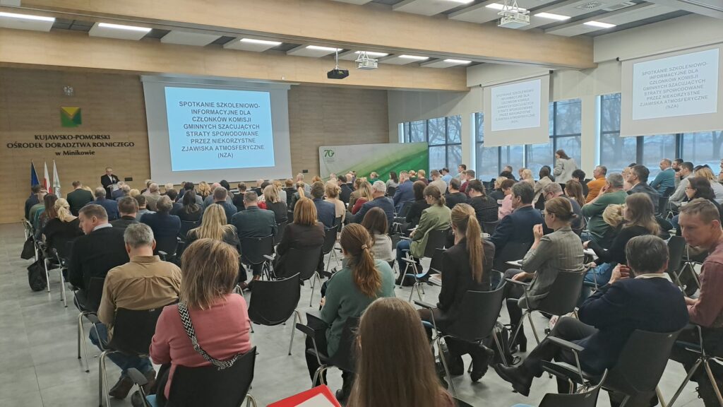 WhatsApp Image 2026-02-19 at 10.20.35 (2)