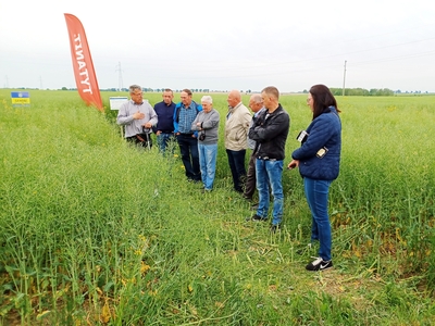 przedstawiciel firmy INTERMAG omawia problematykę makro i mikro nawożenia rzepaku rolnikom stojącym na polu