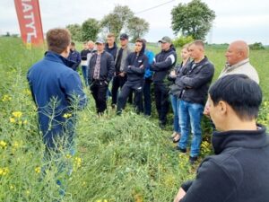 przedstawiciele HR Strzelce i Rapool Polska omawiają charakterystykę odmian rzepaku rolnikom stojącym na polu