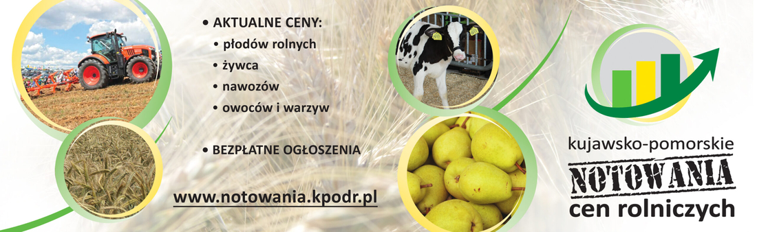 Notowania - ekonomika