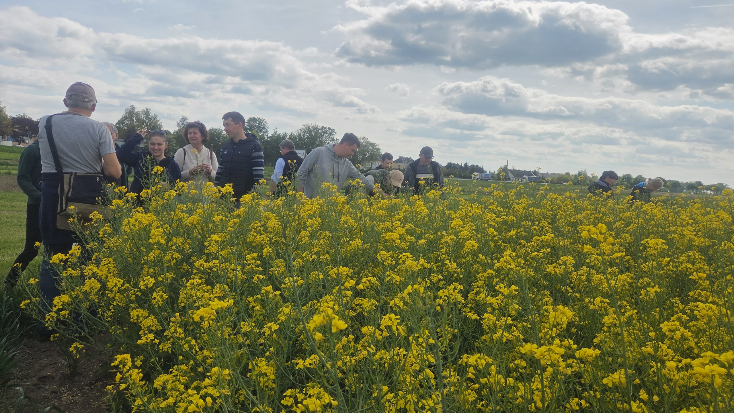 Szkolenie dla pracowników KPODR w Minikowie w zakresie monitoringu agrofagów