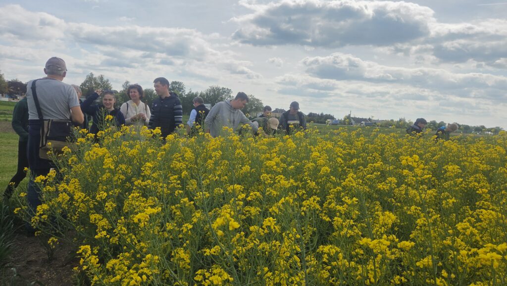 Szkolenie dla pracowników KPODR w Minikowie w zakresie monitoringu agrofagów