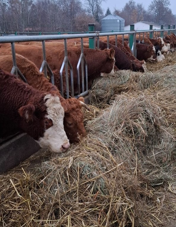 Wizyta w gospodarstwie ekologicznym Państwa Zdziarskich (2)