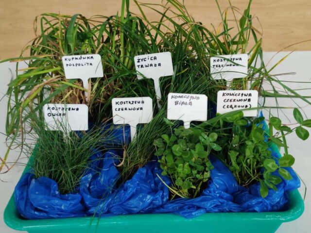 Współczesne wyzwania hodowców kóz, 9-10 września (1)