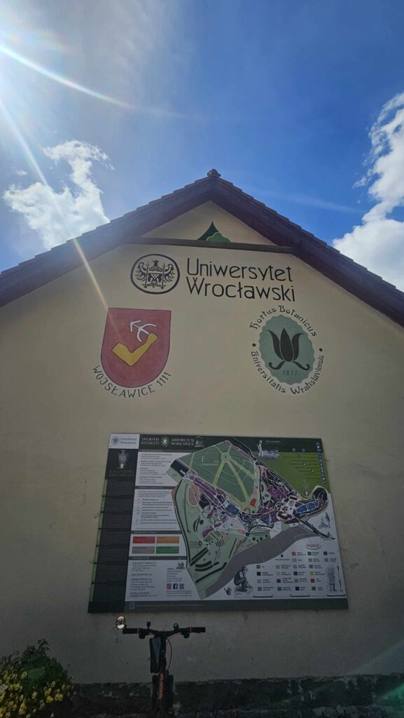 Arboretum Wojsławice (1)