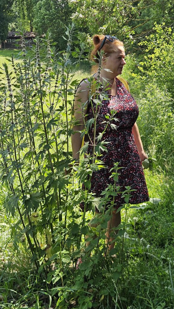 Prowadząca Joanna Olejniczak (3)