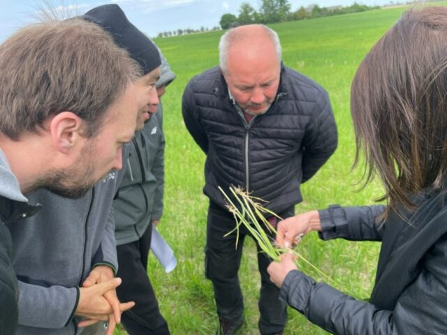 Spotkanie grupy doradczej – część praktyczna (10)