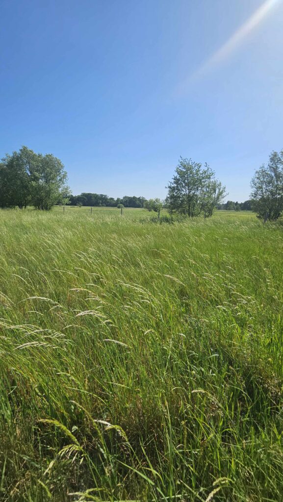 Teren Spolecznych Rezerwatów Przyrody