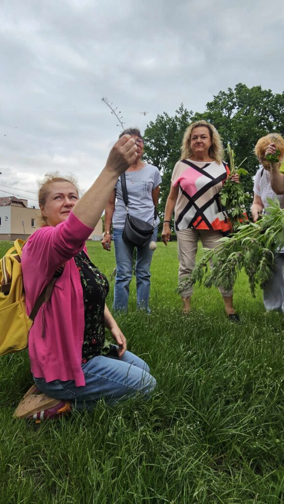 Warsztaty ziołowe 18.06.26 – II grupa (10)