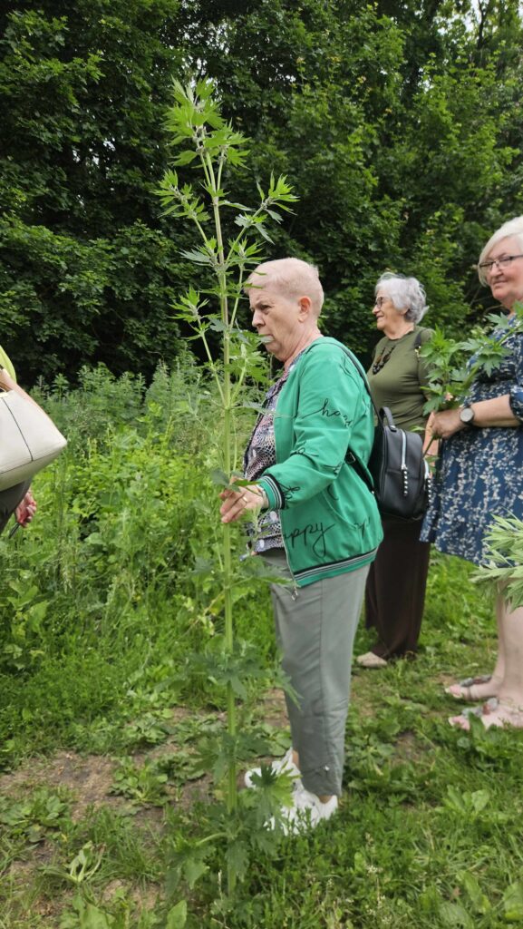 Warsztaty ziołowe 18.06.26 – II grupa (3)