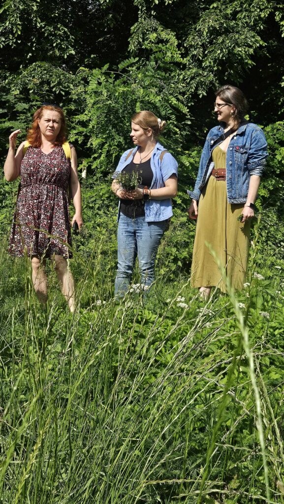 Warsztaty ziołowe 19.06.26 – I grupa (3)