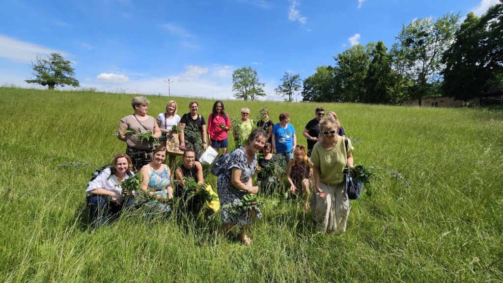 Warsztaty ziołowe 19.06.26 – II grupa (6)