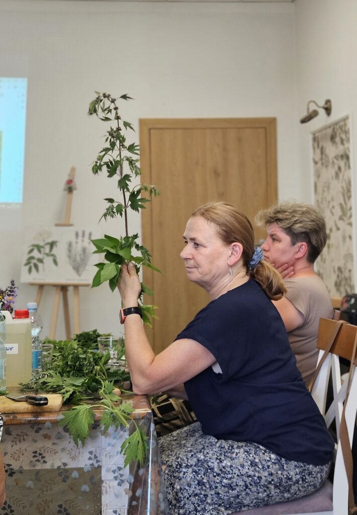 Warsztaty ziołowe 19.06.26 – II grupa
