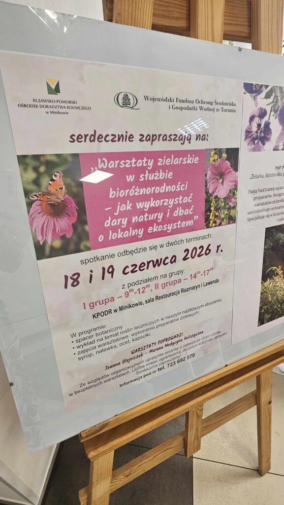 Warsztaty ziołowe