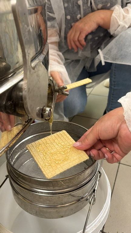 ZAPYLACZE OCHRONA, WSPARCIE I ZNACZENIE NA OBSZARACH WIEJSKICH (8)