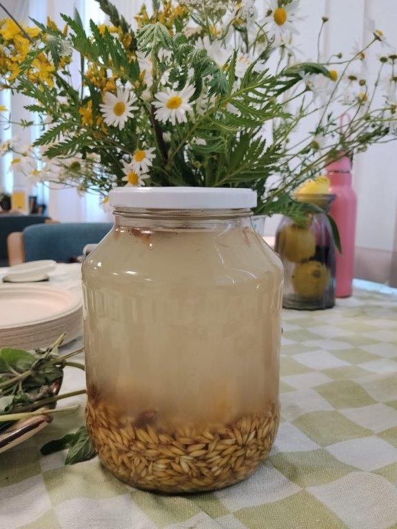fermentowany napój z owsa