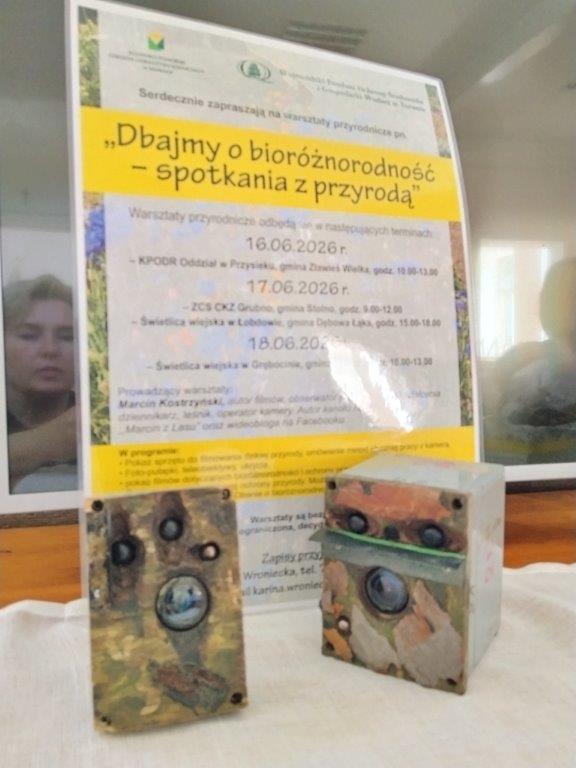 kamery własnej konstrukcji
