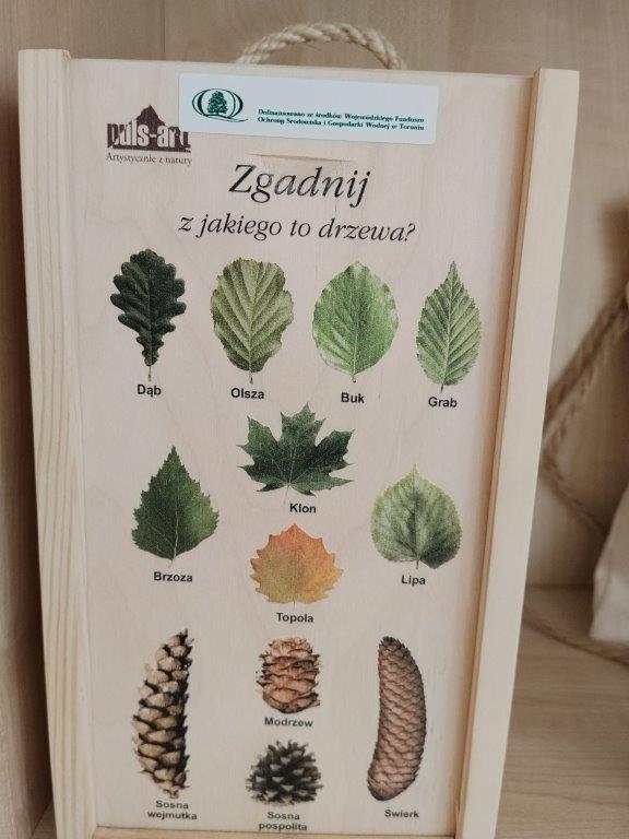 pomoce dydaktyczne (6)