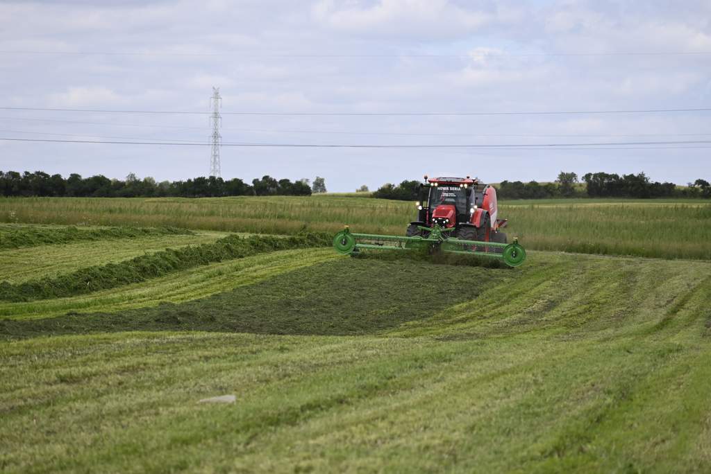 Manewry łąkowe firmy SAMASZ (32)