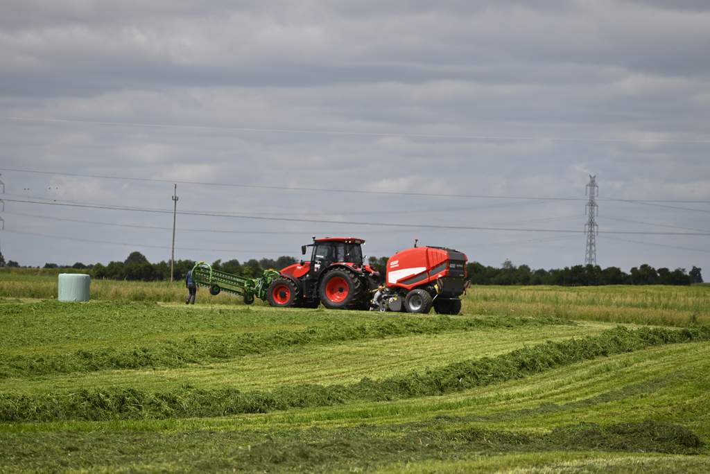 Manewry łąkowe firmy SAMASZ (35)