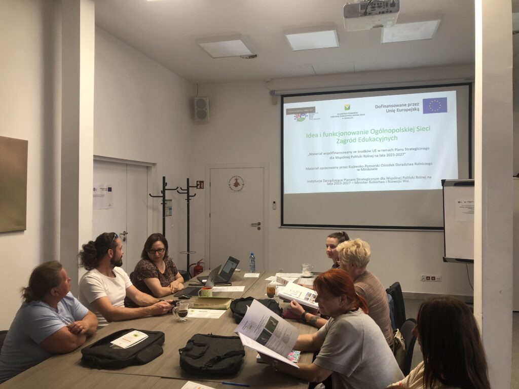 04. uczestnicy projektu doradztwa grupowego